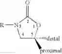 Fig. 08 - Process for the preparation of oxazolidinones and method of use thereof