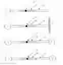 Fig. 01 - OPTICAL PROBES AND ASSAYS