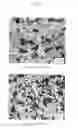 Fig. 08 - Sintered Material, Ferrous Sintered Sliding Material, Producing Method of the Same, Sliding Member, Producing Method of the Same and Coupling Device