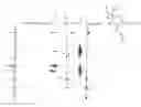 Fig. 01 - Process for producing saturated aliphatic hydrocarbon compound, and lubricant composition