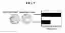 Fig. 08 - Complexed Polypeptide and Adjuvant for Improved Vaccines