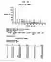 Fig. 07 - Insulin production methods and pro-insulin constructs