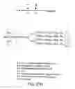 Fig. 136 - Glycoconjugation methods and proteins/peptides produced by the methods