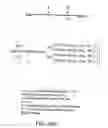 Fig. 197 - Glycoconjugation methods and proteins/peptides produced by the methods