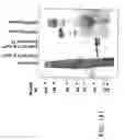 Fig. 441 - Glycoconjugation methods and proteins/peptides produced by the methods