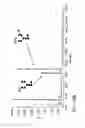 Fig. 451 - Glycoconjugation methods and proteins/peptides produced by the methods