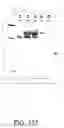 Fig. 459 - Glycoconjugation methods and proteins/peptides produced by the methods