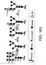 Fig. 486 - Glycoconjugation methods and proteins/peptides produced by the methods