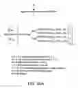 Fig. 65 - Glycoconjugation methods and proteins/peptides produced by the methods