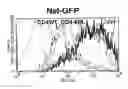 Fig. 03 - Methods for Treating Hiv by Inhibiting Cd4 Down-Modulation