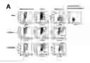 Fig. 06 - Methods for Treating Hiv by Inhibiting Cd4 Down-Modulation