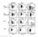 Fig. 08 - Methods for Treating Hiv by Inhibiting Cd4 Down-Modulation