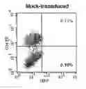 Fig. 10 - Methods for Treating Hiv by Inhibiting Cd4 Down-Modulation