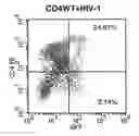Fig. 12 - Methods for Treating Hiv by Inhibiting Cd4 Down-Modulation