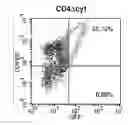 Fig. 14 - Methods for Treating Hiv by Inhibiting Cd4 Down-Modulation