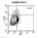 Fig. 16 - Methods for Treating Hiv by Inhibiting Cd4 Down-Modulation