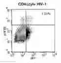 Fig. 17 - Methods for Treating Hiv by Inhibiting Cd4 Down-Modulation