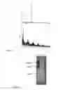 Fig. 09 - Identification of the Precise Amino Acid Sequence of the Epitope Recognized by the Potent Neutralizing Human Anti-Hiv-1 Monoclonal Antibody Igg1b12