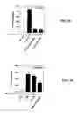 Fig. 08 - Method for screening for compounds using MHC class II invariant chain polypeptide and macrophage migration inhibitory factor