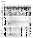 Fig. 04 - SELECTION METHOD OF PEPTIDES, PEPTIDES, METHOD AND KIT OF INFECTION IDENTIFICATION BY MYCOBACTERIUM LEPRAE, PHARMACEUTICAL OR IMMUNOLOGICAL COMPOSITIONS CONTAINING PEPTIDES OF MYCOBACTERIUM LEPRAE OR SEQUENCES FUNCTIONALLY EQUIVALENT
