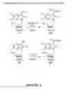 Fig. 06 - Indole antiviral compositions and methods
