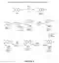 Fig. 09 - Indole antiviral compositions and methods