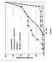 Fig. 02 - Compositions comprising carbacephem beta-lactam antibiotics and beta-lactamase inhibitors