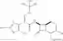 Fig. 09 - Compositions comprising carbacephem beta-lactam antibiotics and beta-lactamase inhibitors