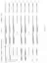 Fig. 121 - Methods of diagnosis and treatment for asthma, allergic rhinitis and other respiratory diseases based on haplotype association