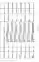 Fig. 85 - Methods of diagnosis and treatment for asthma, allergic rhinitis and other respiratory diseases based on haplotype association