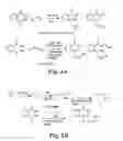Fig. 05 - Lisofylline analogs and methods for use