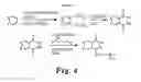 Fig. 07 - Lisofylline analogs and methods for use