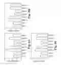 Fig. 17 - Lisofylline analogs and methods for use