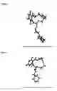 Fig. 02 - Macrocyclic compounds useful as inhibitors of kinases and HSP90