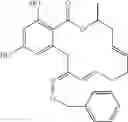 Fig. 116 - Macrocyclic compounds useful as inhibitors of kinases and HSP90