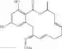Fig. 117 - Macrocyclic compounds useful as inhibitors of kinases and HSP90