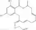 Fig. 119 - Macrocyclic compounds useful as inhibitors of kinases and HSP90