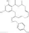 Fig. 121 - Macrocyclic compounds useful as inhibitors of kinases and HSP90