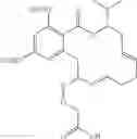 Fig. 124 - Macrocyclic compounds useful as inhibitors of kinases and HSP90