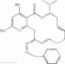 Fig. 134 - Macrocyclic compounds useful as inhibitors of kinases and HSP90