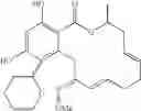 Fig. 140 - Macrocyclic compounds useful as inhibitors of kinases and HSP90