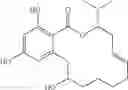 Fig. 145 - Macrocyclic compounds useful as inhibitors of kinases and HSP90