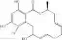 Fig. 147 - Macrocyclic compounds useful as inhibitors of kinases and HSP90