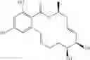 Fig. 16 - Macrocyclic compounds useful as inhibitors of kinases and HSP90