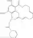 Fig. 162 - Macrocyclic compounds useful as inhibitors of kinases and HSP90