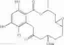 Fig. 165 - Macrocyclic compounds useful as inhibitors of kinases and HSP90