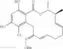 Fig. 169 - Macrocyclic compounds useful as inhibitors of kinases and HSP90