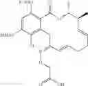 Fig. 170 - Macrocyclic compounds useful as inhibitors of kinases and HSP90