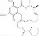 Fig. 171 - Macrocyclic compounds useful as inhibitors of kinases and HSP90