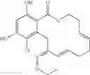 Fig. 173 - Macrocyclic compounds useful as inhibitors of kinases and HSP90